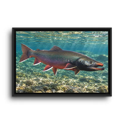 Trophy Alaskan Waters Dolly Varden framed canvas wall art, view 2