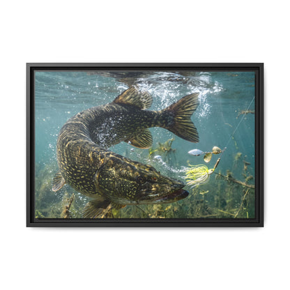 Northern Pike Turning Strike Framed Canvas — Ready-to-Hang Wall Art for Anglers