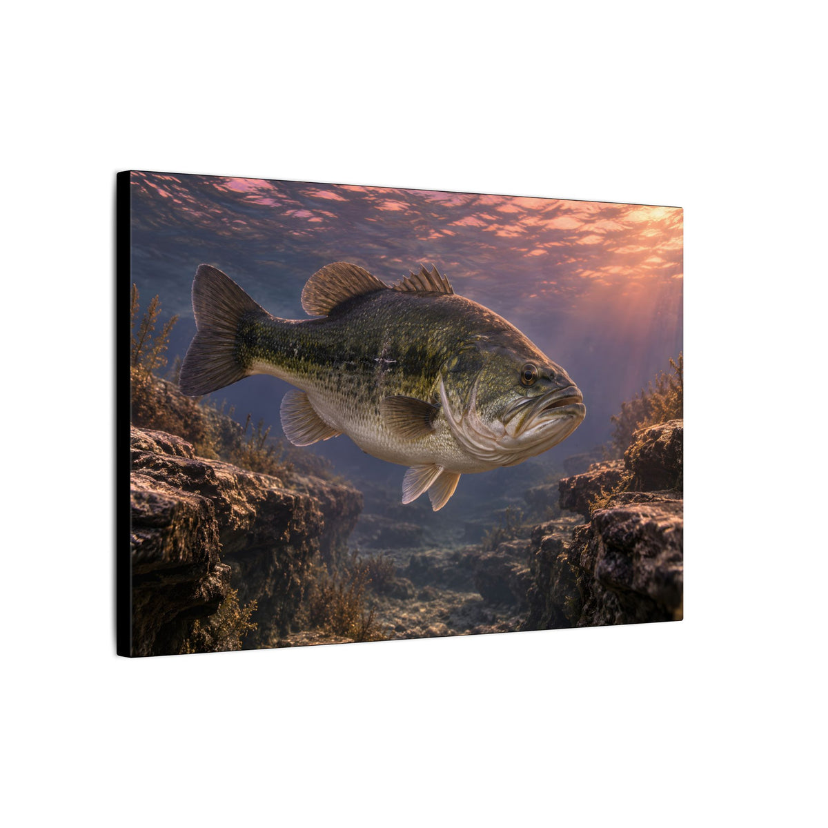 Rose-Gold Dusk Channel Largemouth Bass canvas side angle
