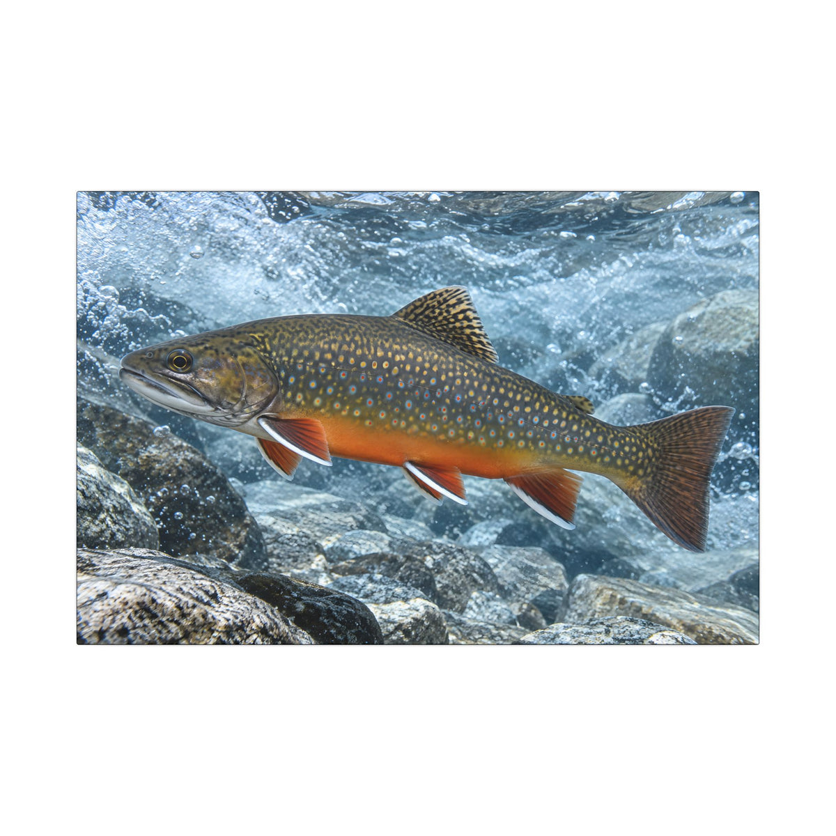 Snowmelt Run Brook Trout canvas wall art, view 2