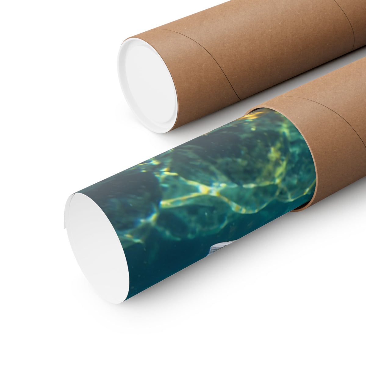 Silver in the Tide Coho Salmon poster shipped rolled in a protective tube