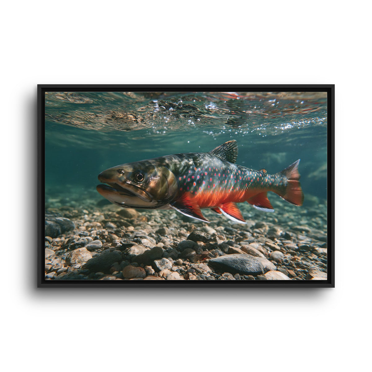Clear Gravel Run Dolly Varden framed canvas wall art, view 3