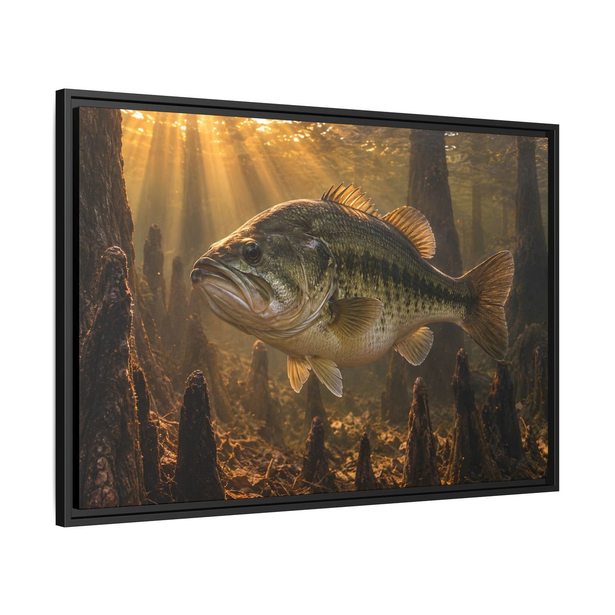 Sunrise Over the Cypress Knees Largemouth Bass framed canvas side angle