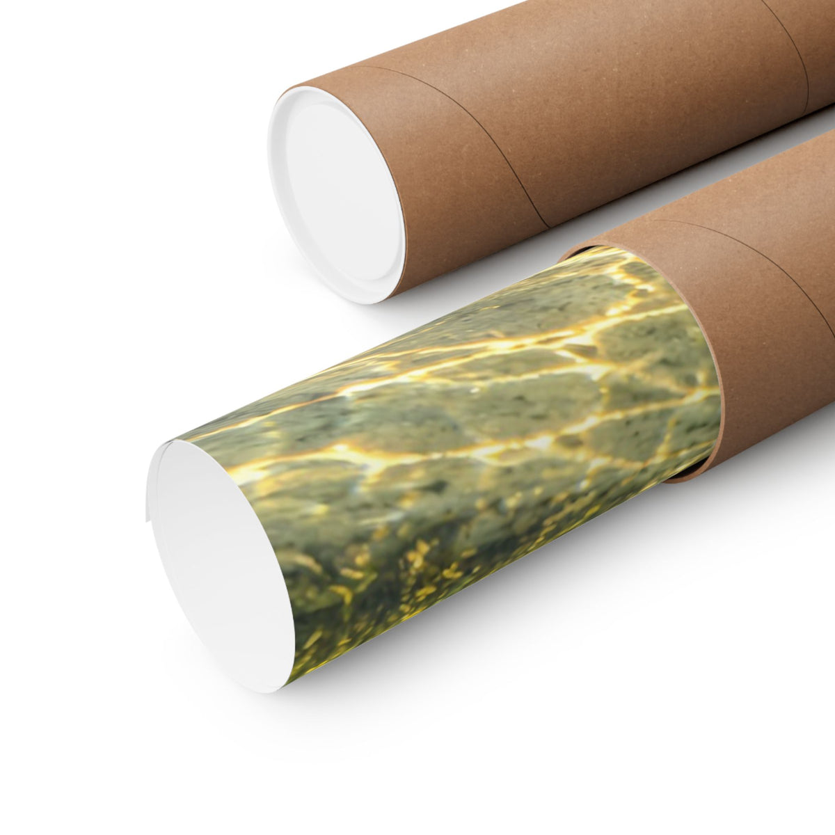 Sunlit Reed Edge Northern Pike poster shipped rolled in a protective tube