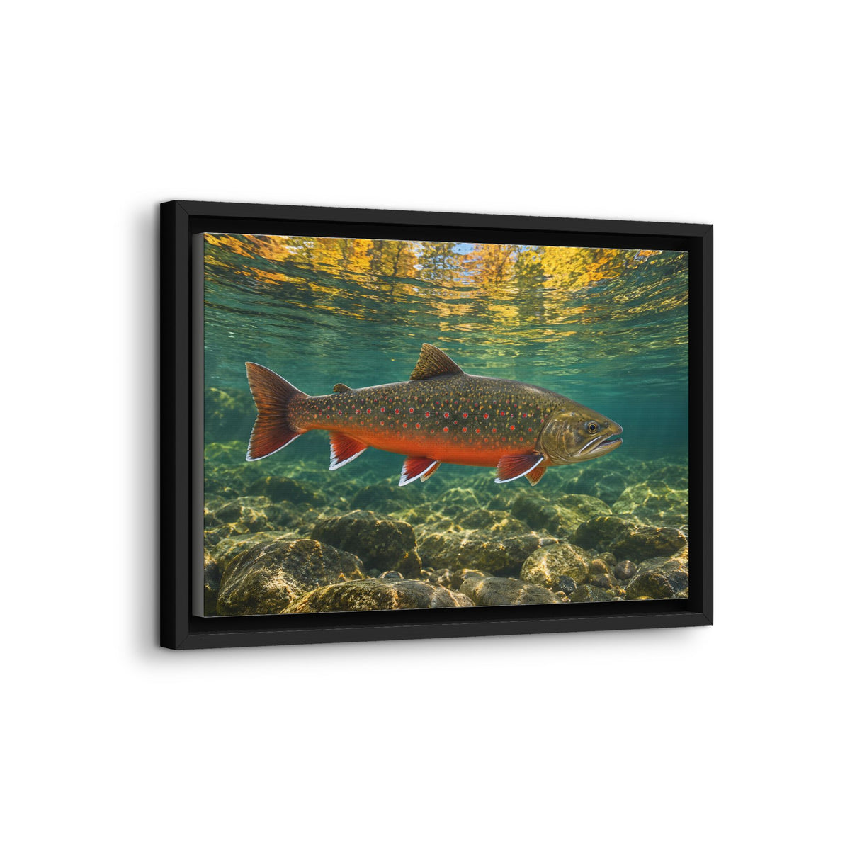 Autumn Reflections Dolly Varden framed canvas wall art, view 4