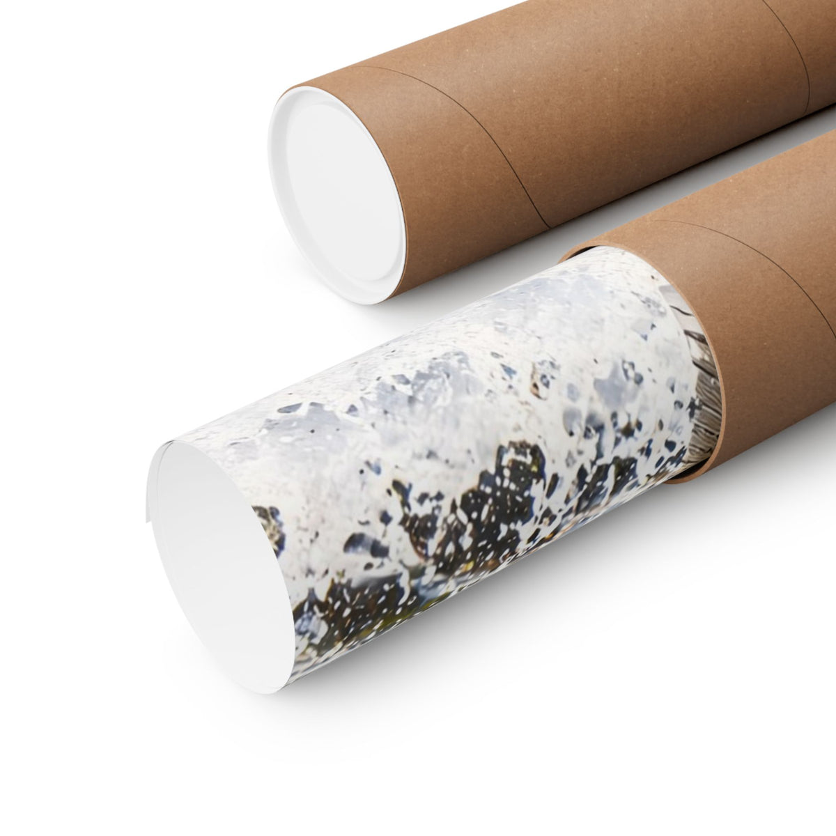 Autumn Run Leap Coho Salmon poster shipped rolled in a protective tube