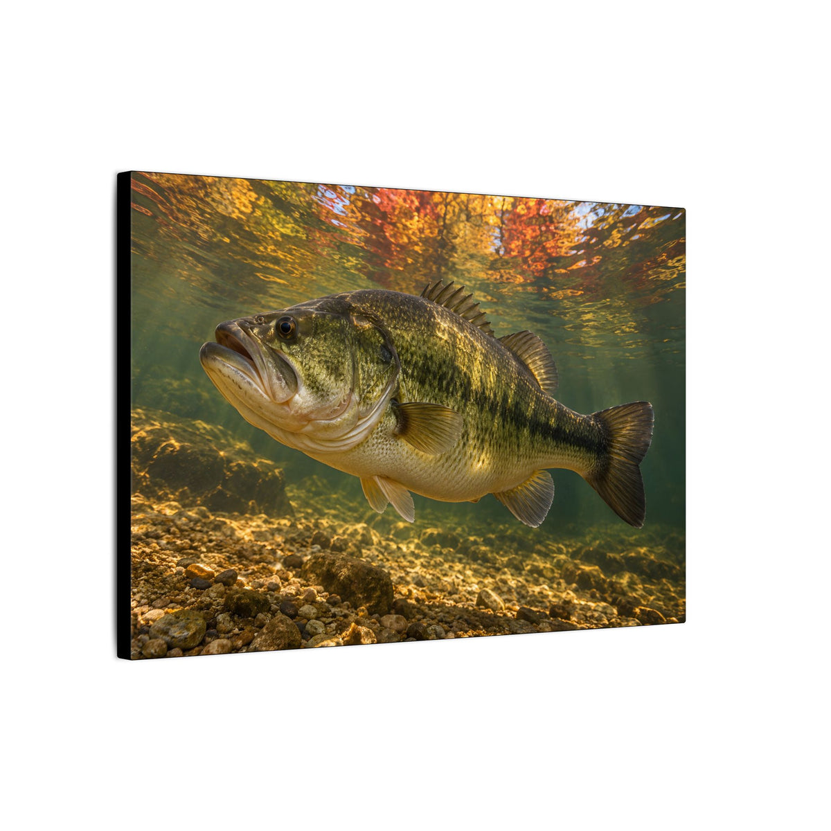 Golden Autumn Reflection Largemouth Bass canvas side angle