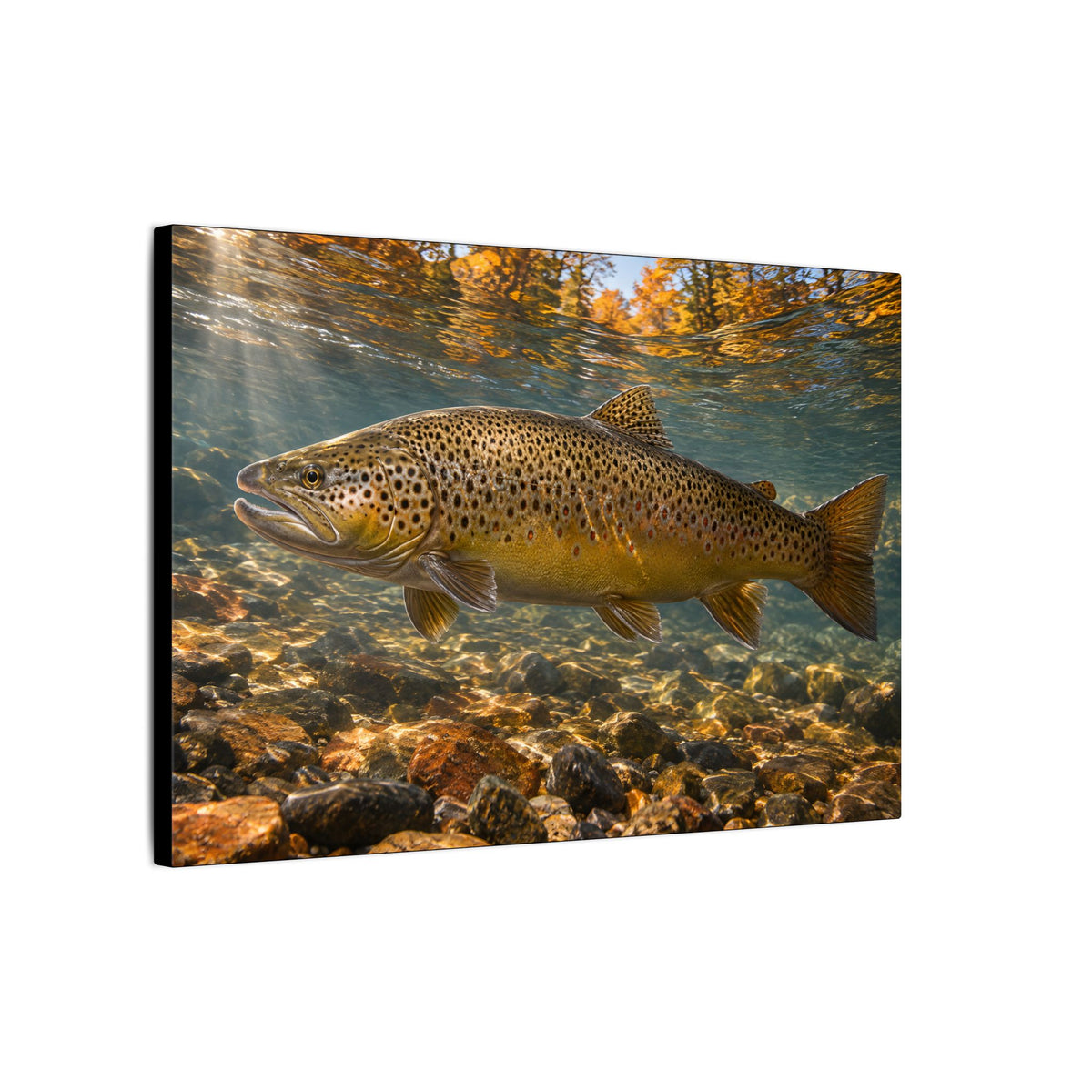 River of Copper Brown Trout canvas wall art, view 4