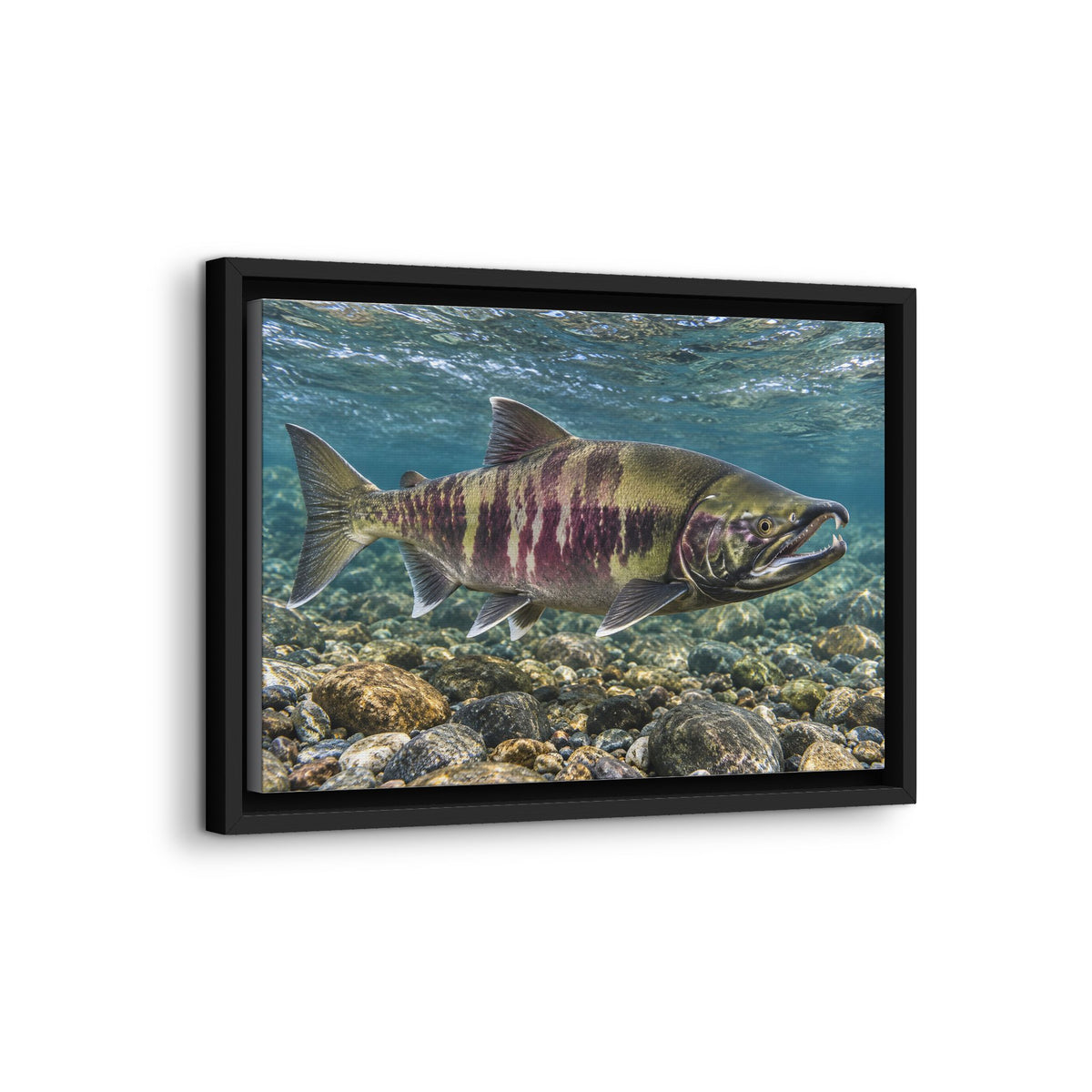 Calico Run Chum Salmon framed canvas wall art, view 4