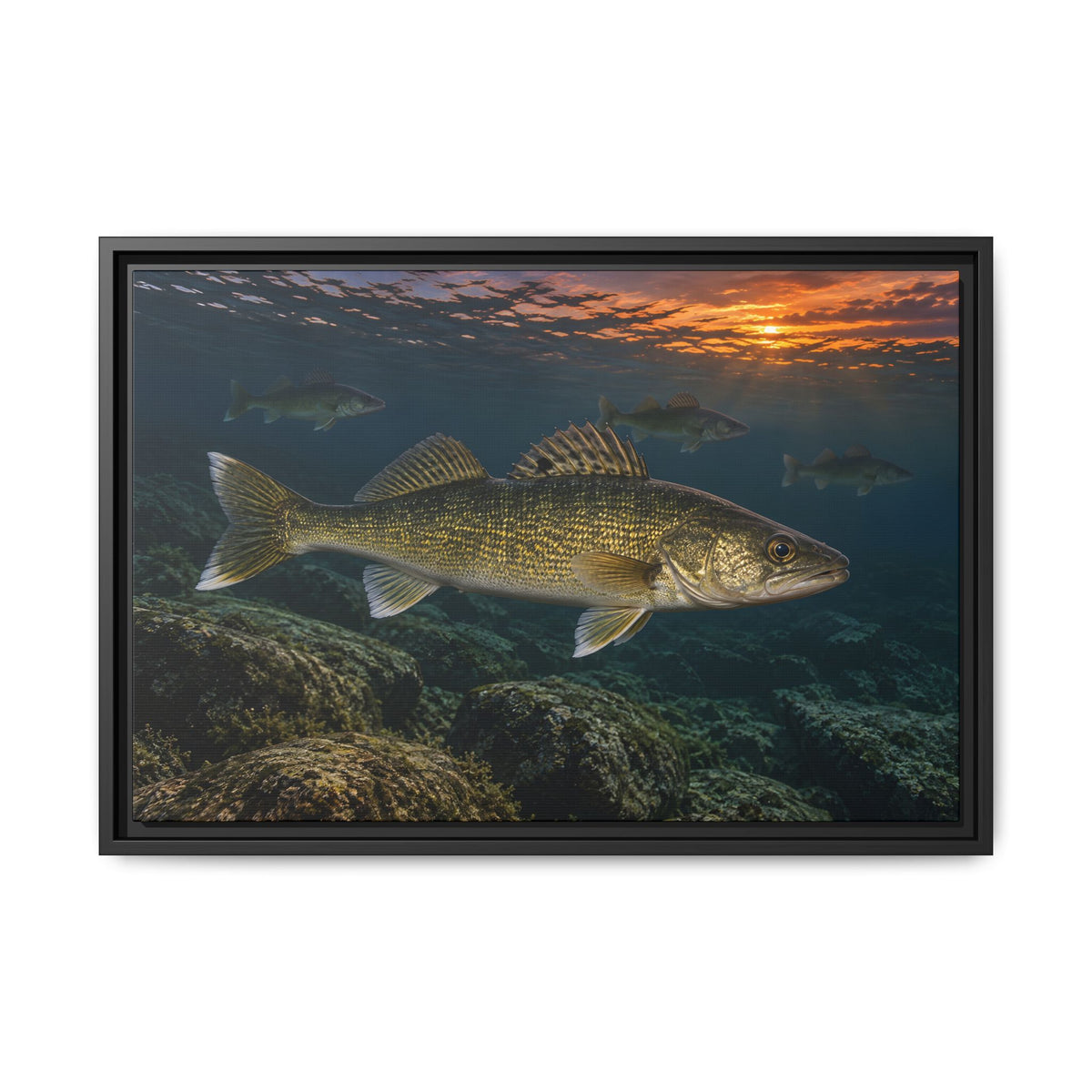 Reef Pack at Dusk Walleye framed canvas, 36x24 size view