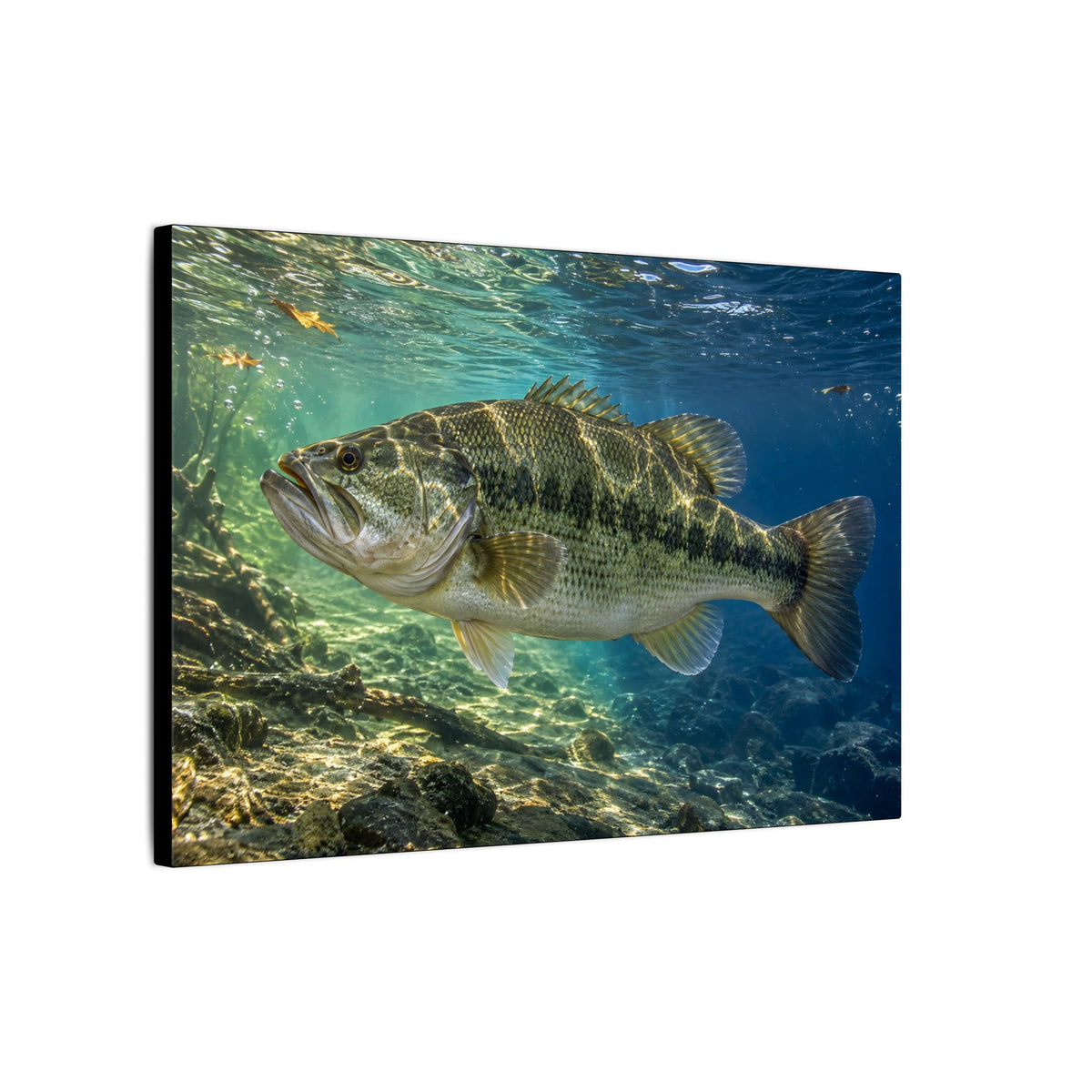 Blue-Green Current Seam Largemouth Bass canvas side angle