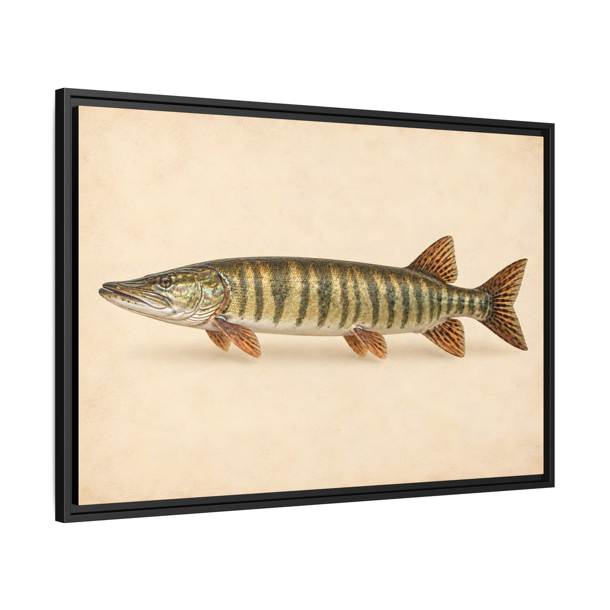 Muskellunge Field Study Framed Canvas wall art, view 4