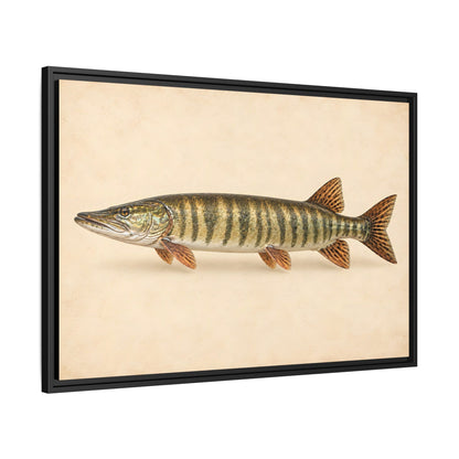 Muskellunge Field Study Framed Canvas wall art, view 4