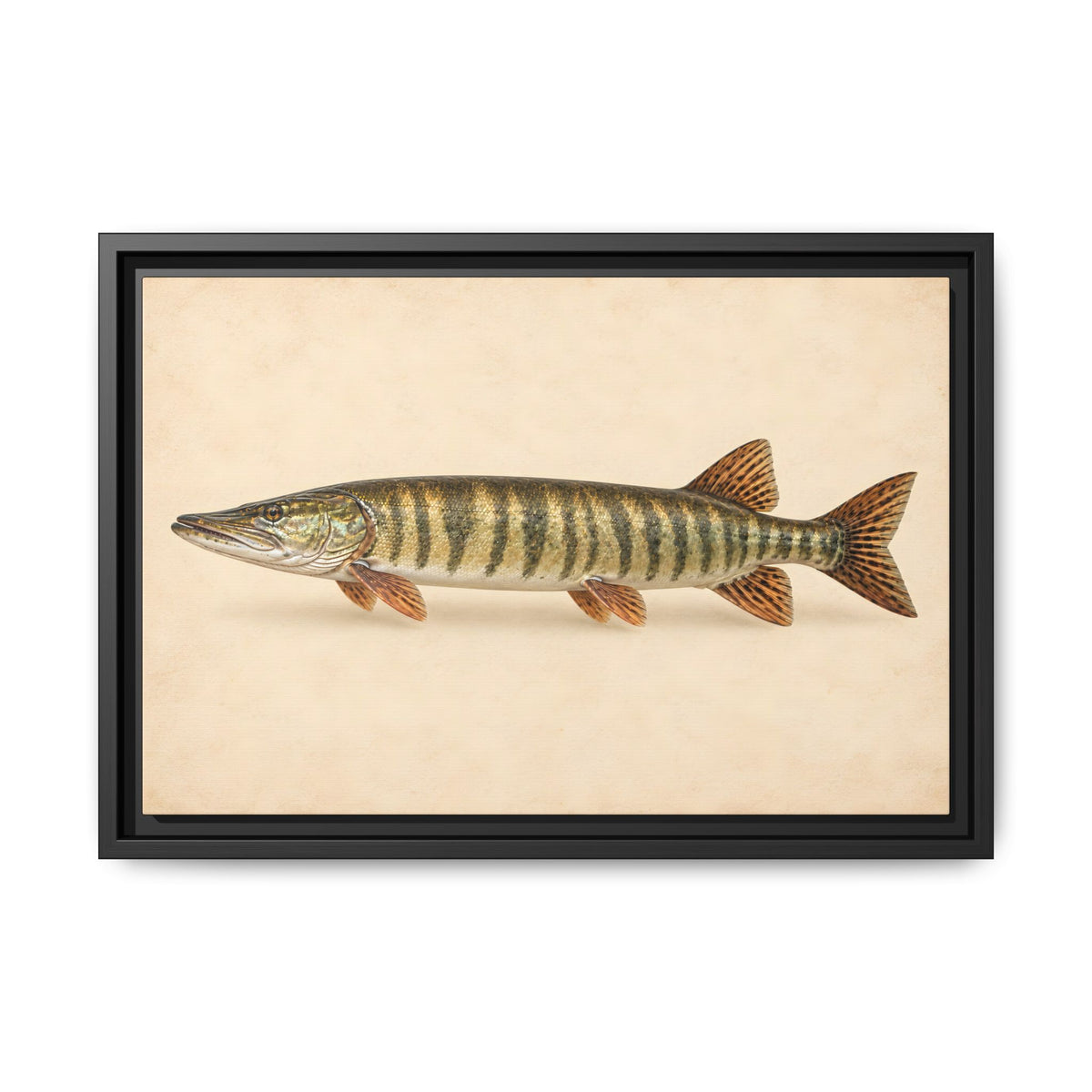 Muskellunge Field Study Framed Canvas wall art, view 2