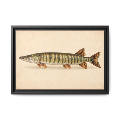 Muskellunge Field Study Framed Canvas wall art, view 2