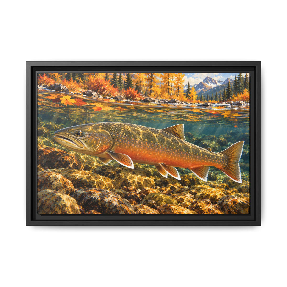 Autumn Char Bull Trout framed canvas, 18x12 size view
