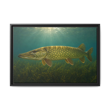 Over the Weed Bed Northern Pike framed canvas, 36x24 size view