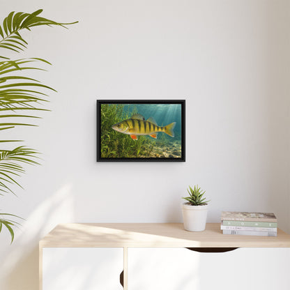 Weedline Yellow Perch framed canvas wall art, view 5