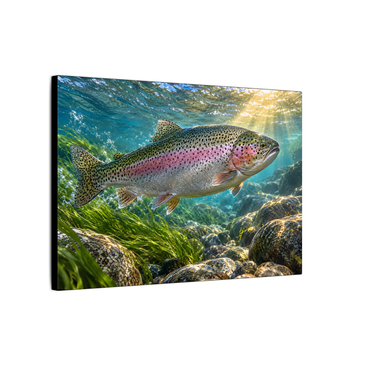 River of Gold Rainbow Trout canvas wall art, view 4