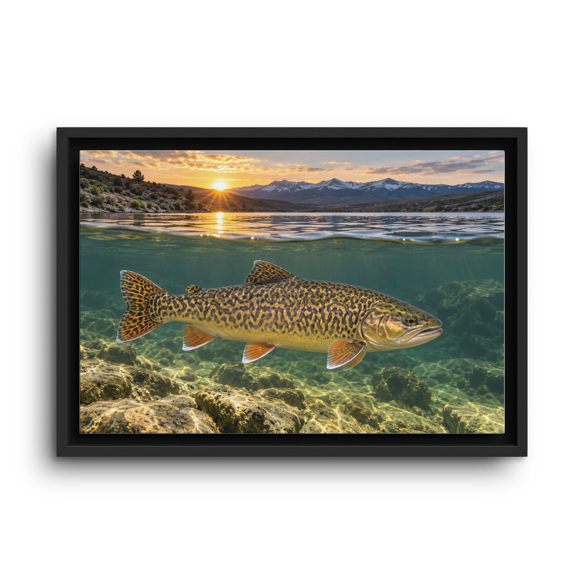 High Desert Sunrise Tiger Trout framed canvas wall art
