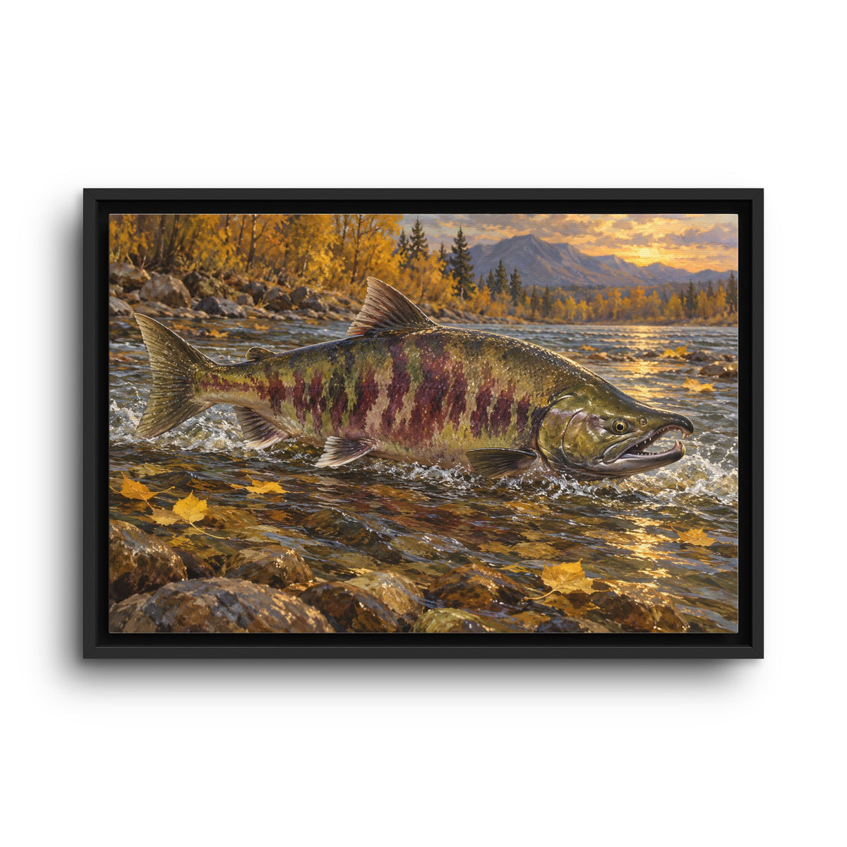 Autumn Riffle Chum Salmon framed canvas wall art, view 2