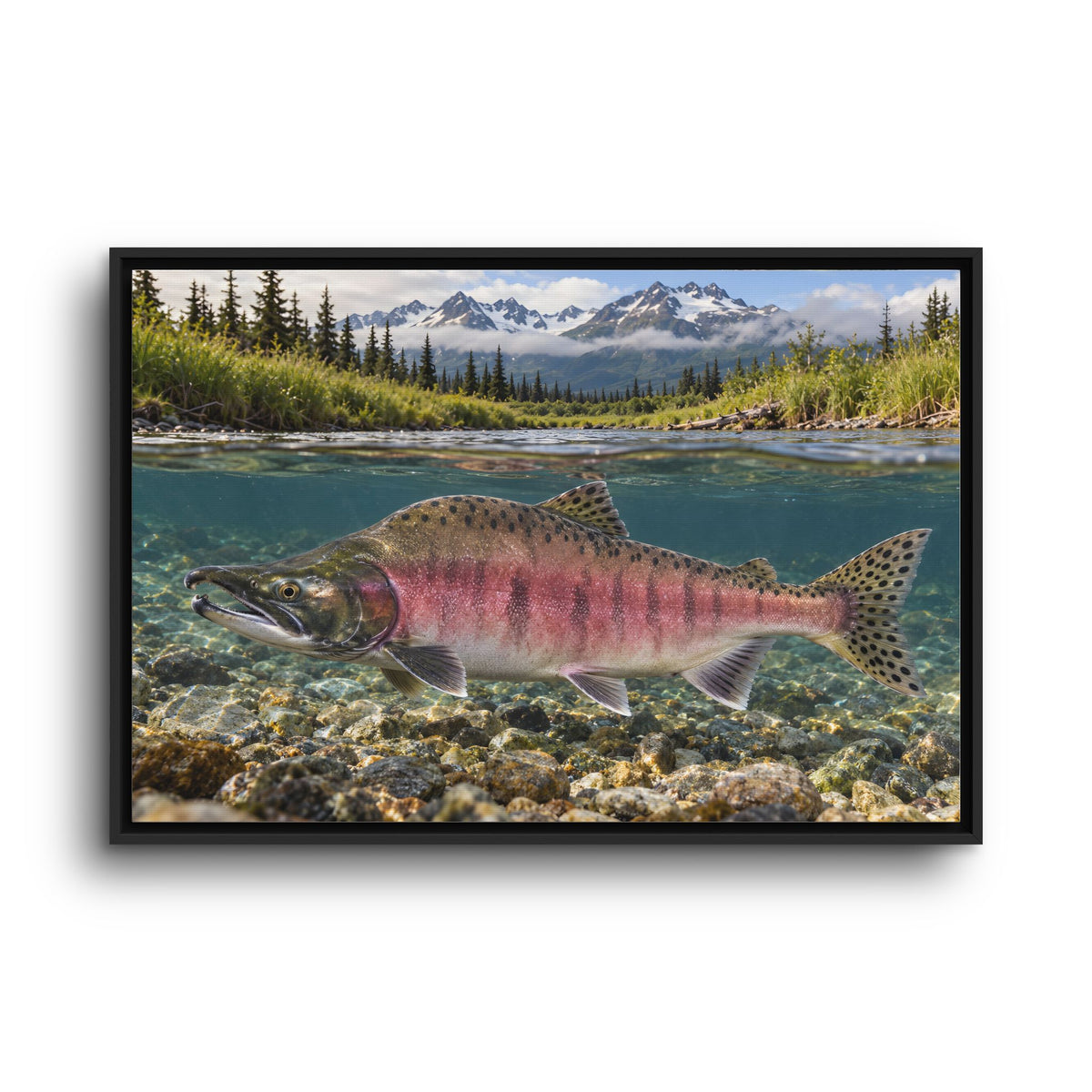 Alaska Creek Pink Salmon framed canvas wall art, view 3