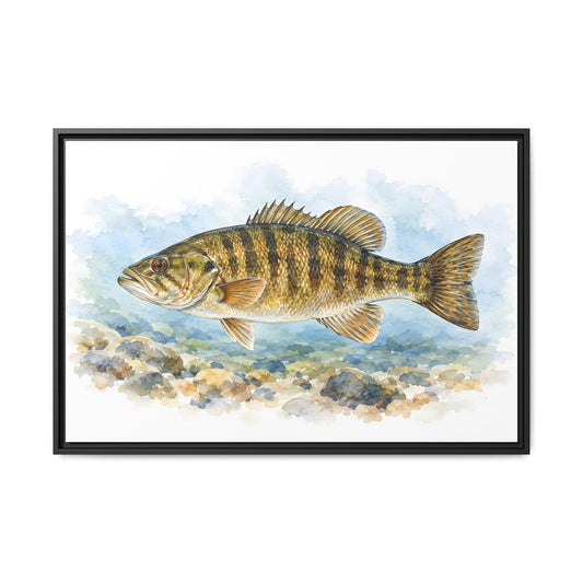 A soft watercolor of a smallmouth bass gliding over river pebbles, fishing wall art framed canvas