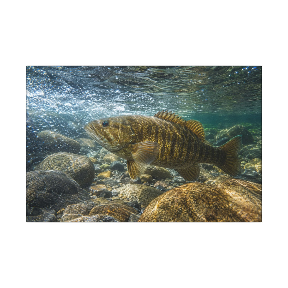 Current Seam Smallmouth Bass canvas wall art, view 3