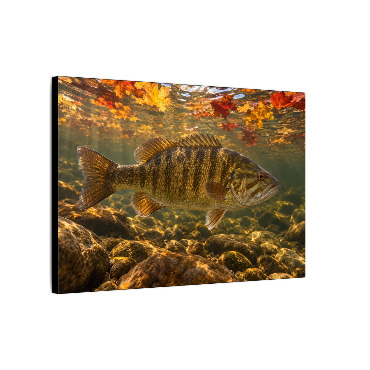Autumn Bronze Smallmouth Canvas wall art, view 4