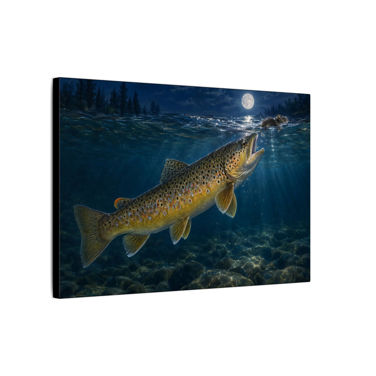 Midnight Mouse Brown Trout canvas side angle