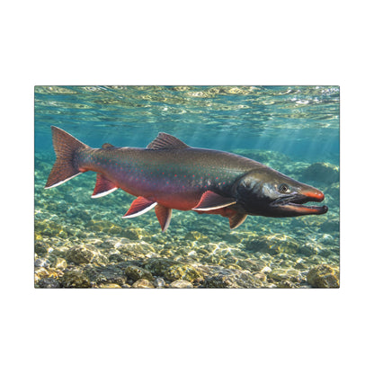 Trophy Alaskan Waters Dolly Varden canvas wall art