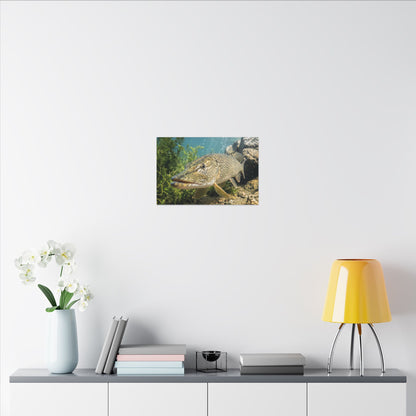 Northern Pike Clear Water Portrait Canvas — Limited Edition Wall Art for Anglers
