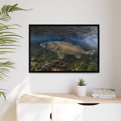 River Bend Walleye framed canvas hanging in a living room