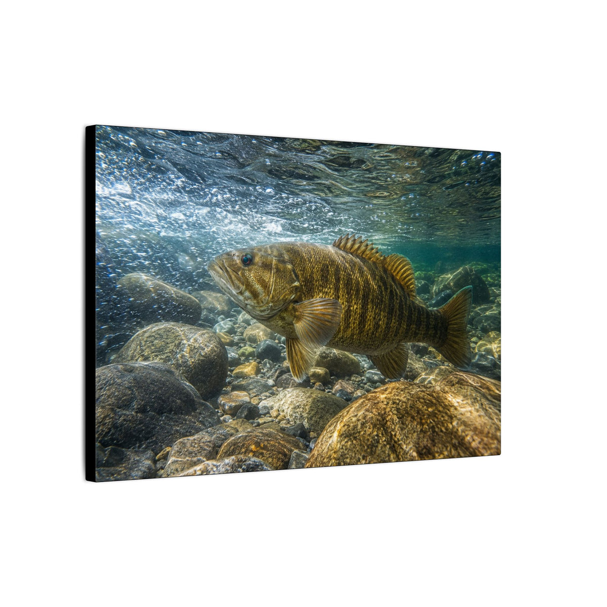 Current Seam Smallmouth Bass canvas wall art, view 4