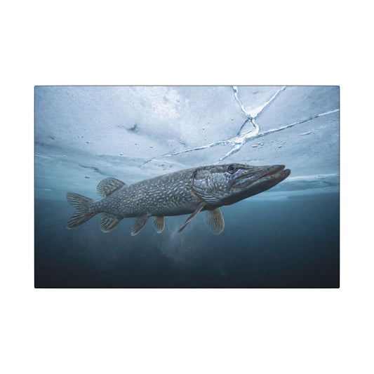 Ice-Out Strike Northern Pike canvas, 18x12 size view