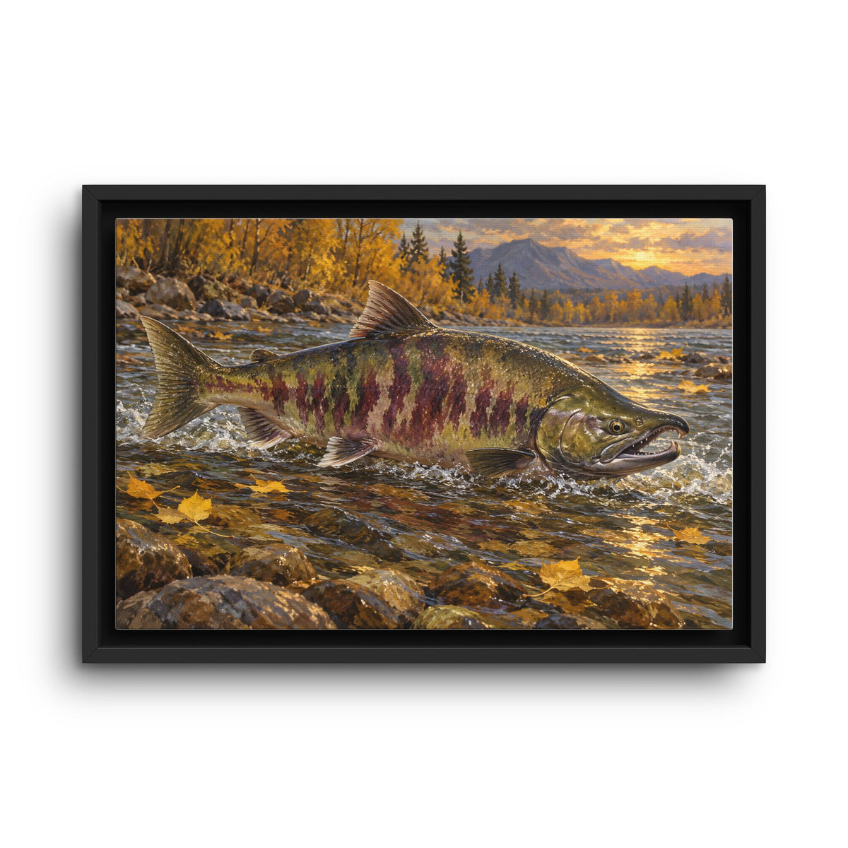 Autumn Riffle Chum Salmon framed canvas wall art