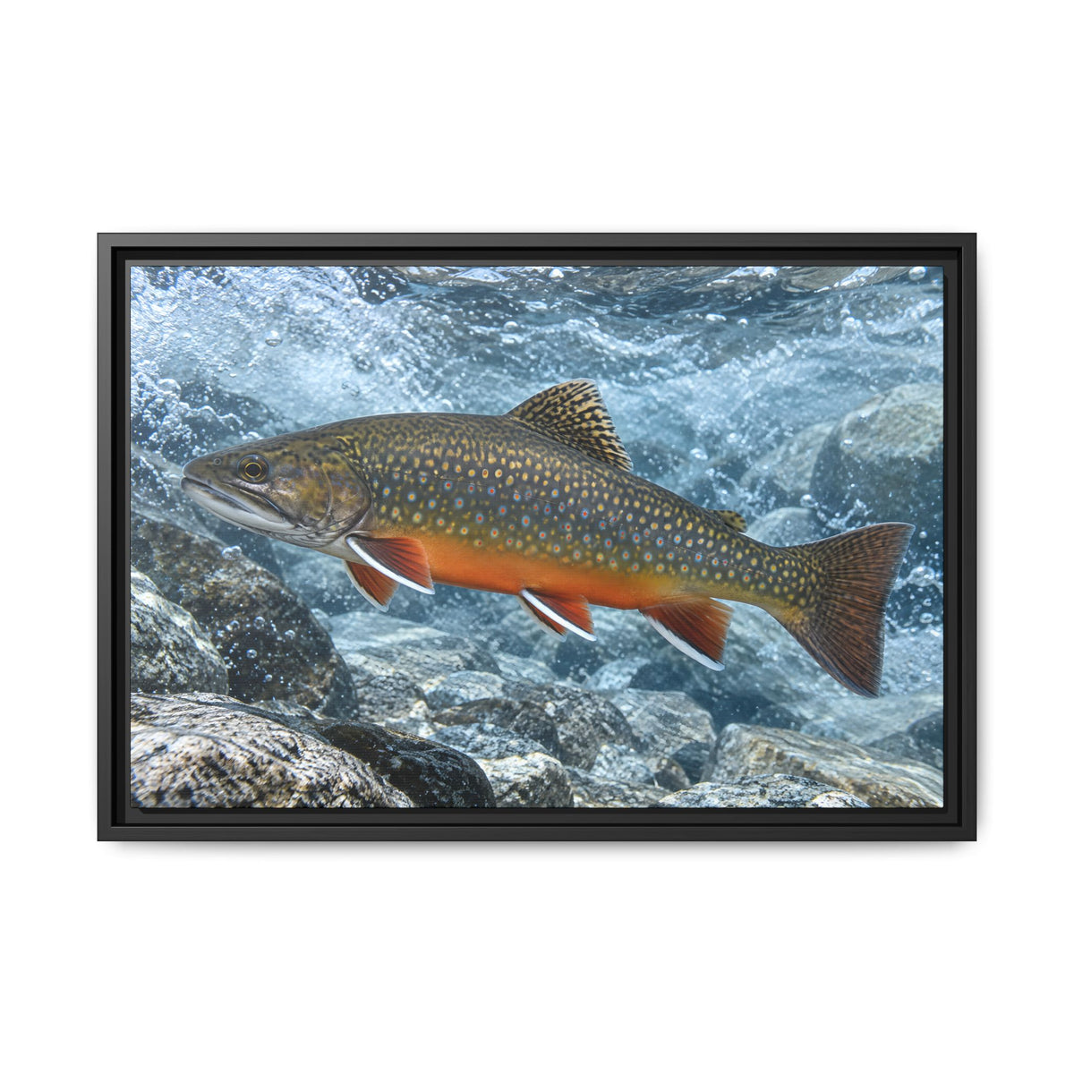 Snowmelt Run Brook Trout framed canvas wall art, view 3