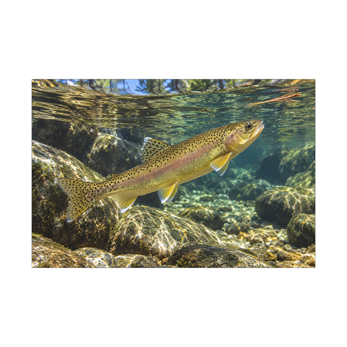 Ponderosa Pool Gila Trout canvas wall art, view 3