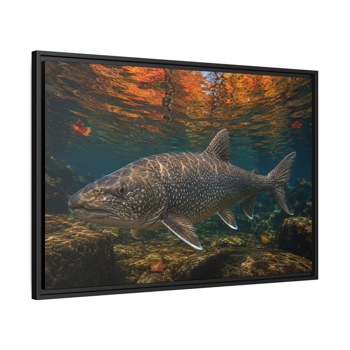 Autumn Granite Lake Trout framed canvas wall art, view 4