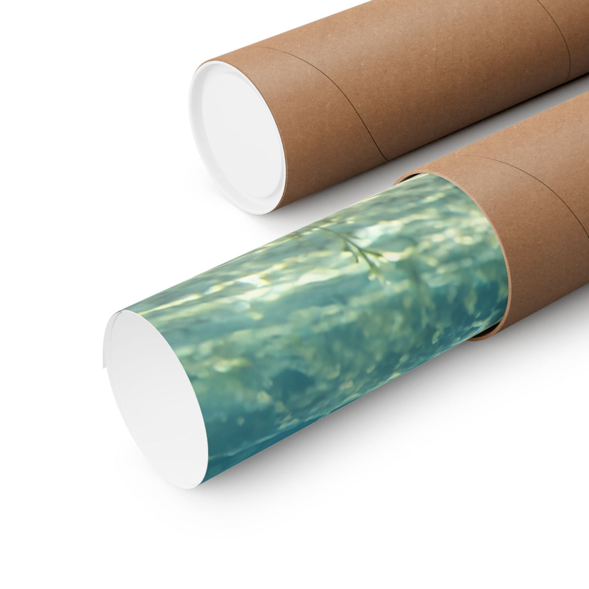 Aqua After the Wind Largemouth Bass poster shipped rolled in a protective tube