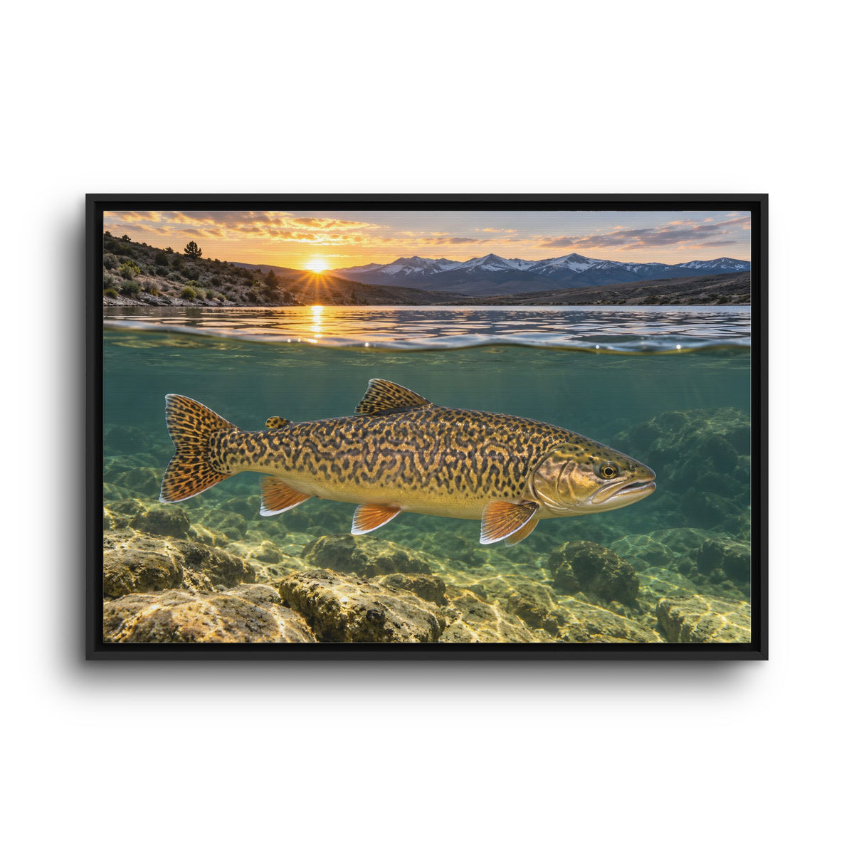 High Desert Sunrise Tiger Trout framed canvas wall art, view 3
