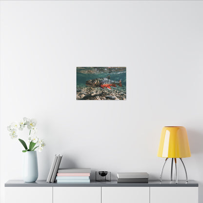 Clear Gravel Run Dolly Varden canvas wall art, view 6