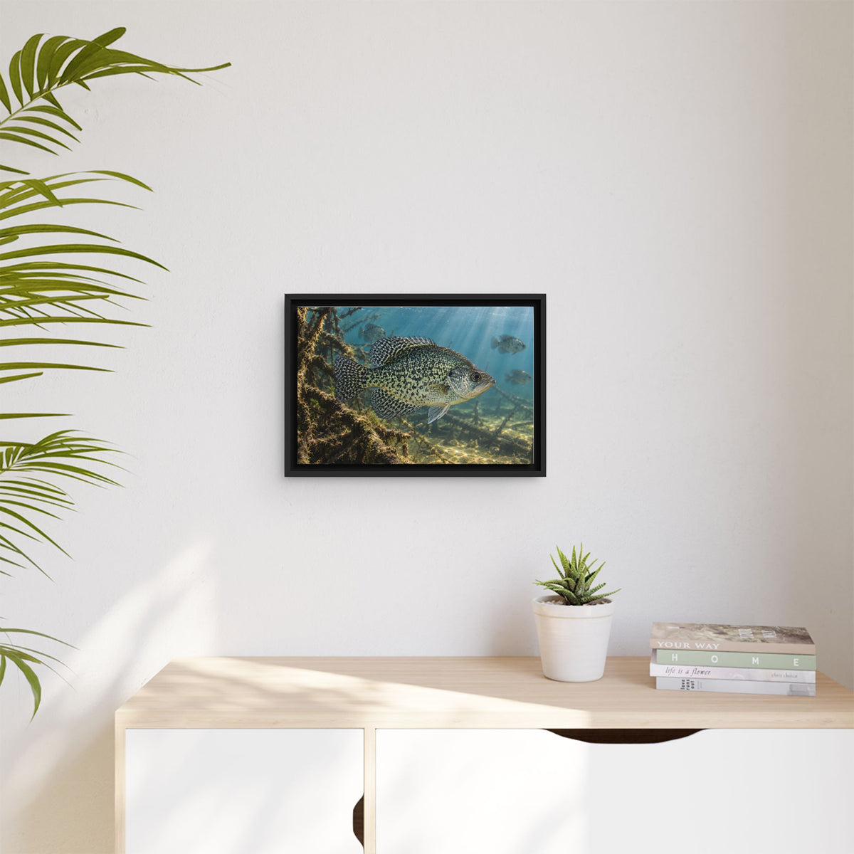 Brush Pile Crappie framed canvas wall art, view 5
