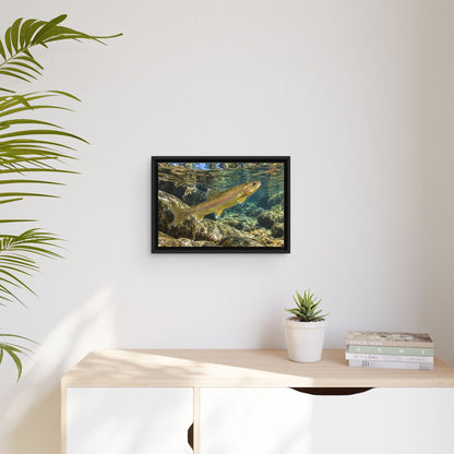 Ponderosa Pool Gila Trout framed canvas wall art, view 5