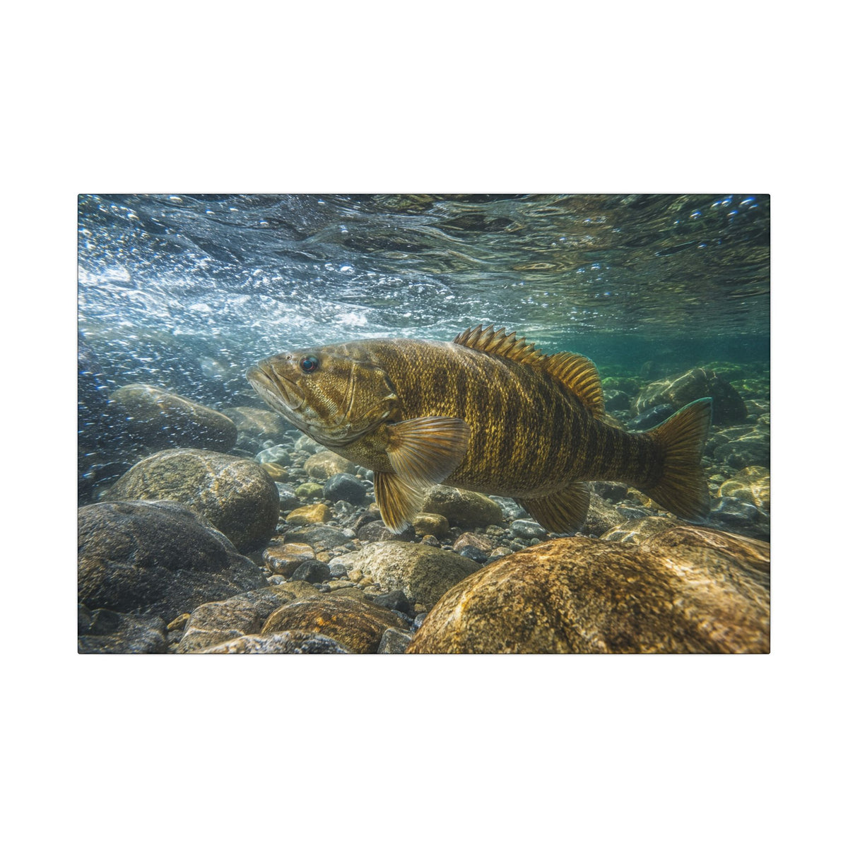 Current Seam Smallmouth Bass canvas wall art, view 2