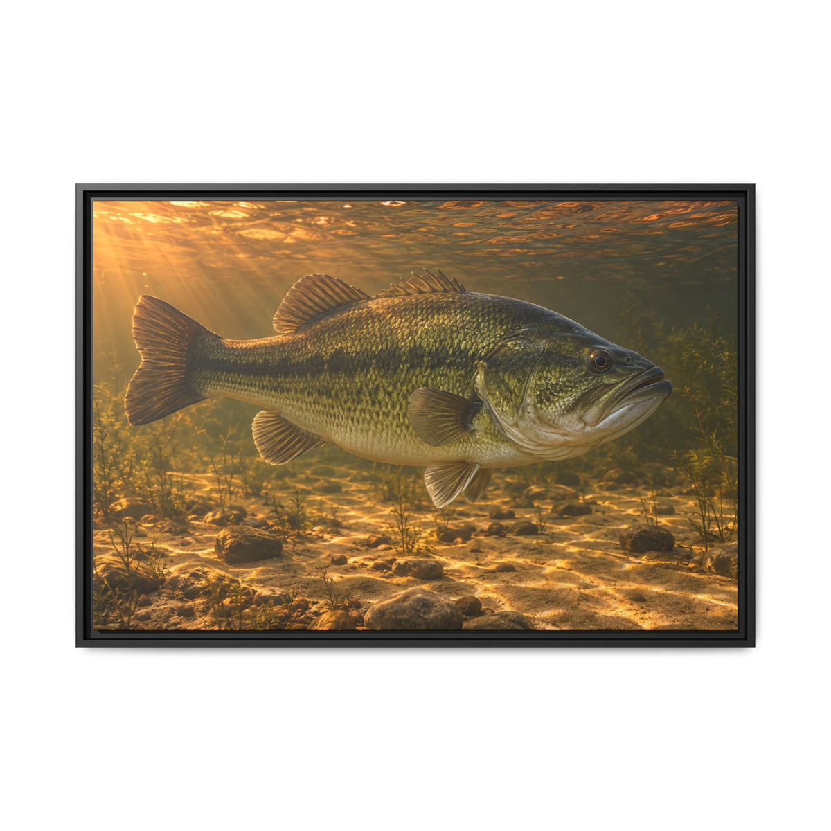 Copper Evening Flats Largemouth Bass framed canvas, 18x12 size view