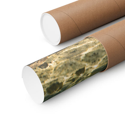 Jig and Minnow Strike Walleye poster shipped rolled in a protective tube