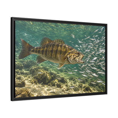 Shiner School Smallmouth Framed Canvas wall art, view 4