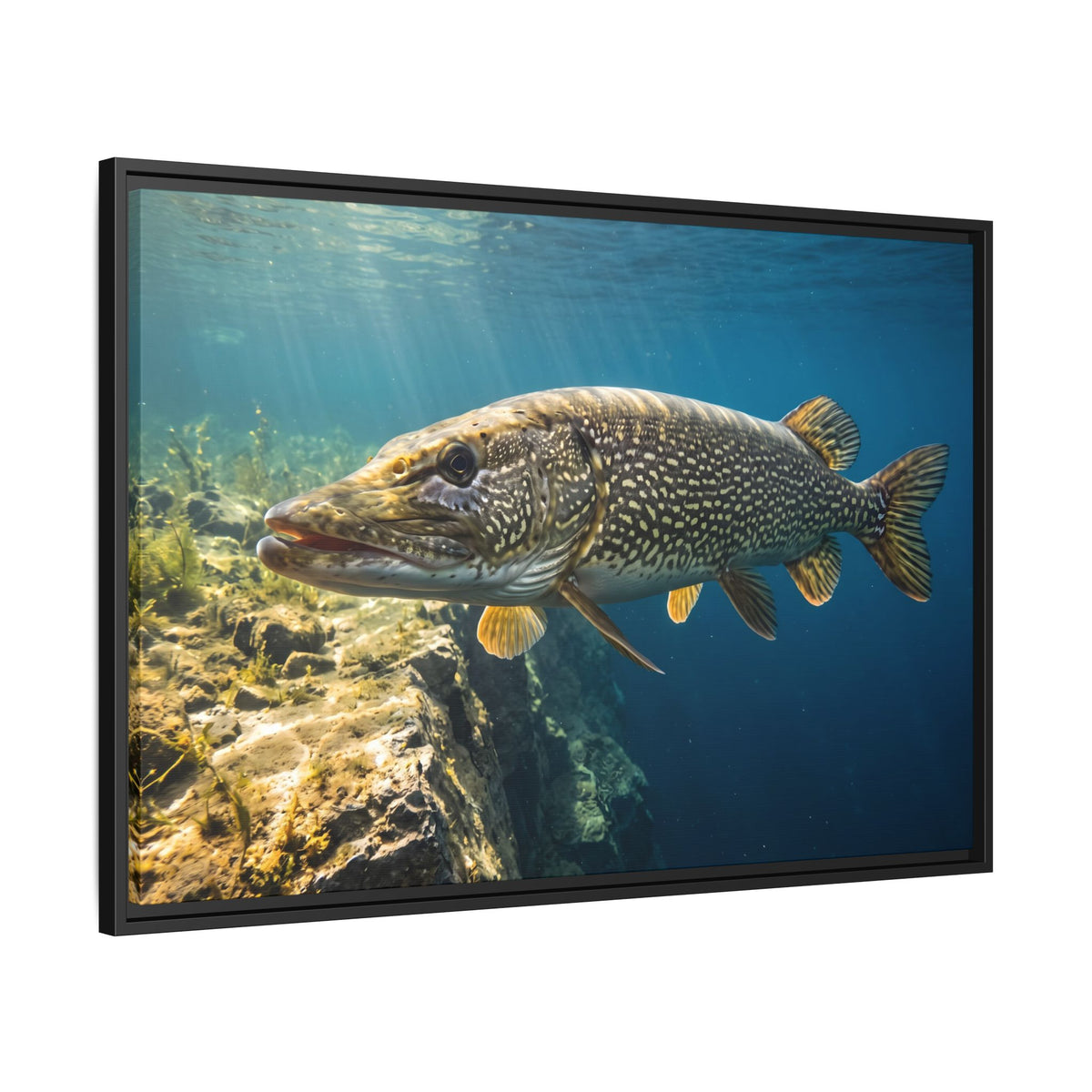 Northern Pike Deep Water Cruise Framed Canvas wall art, view 4