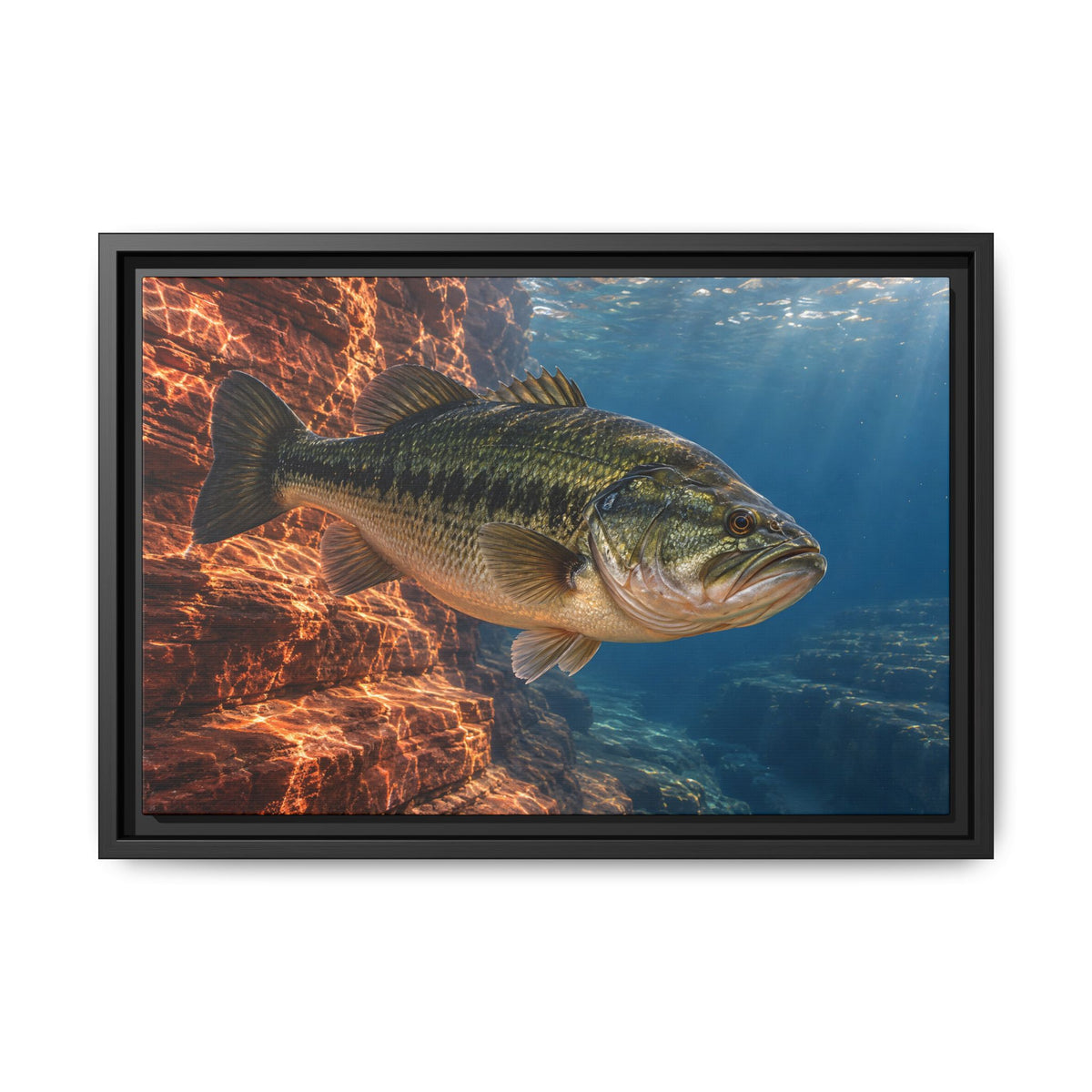 Rust-Red Canyon Glow Largemouth Bass framed canvas, 24x16 size view